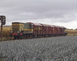 8463 Baasrode