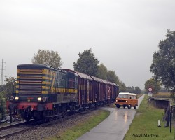 8463 Oppuurs
