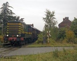 8463 Oppuurs