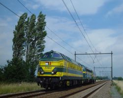 5183, 202.020, 5941
